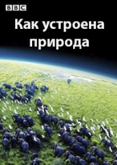BBC. Как устроена природа (сериал, 2012).