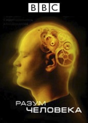 BBC. Разум человека. (сериал, 2003).